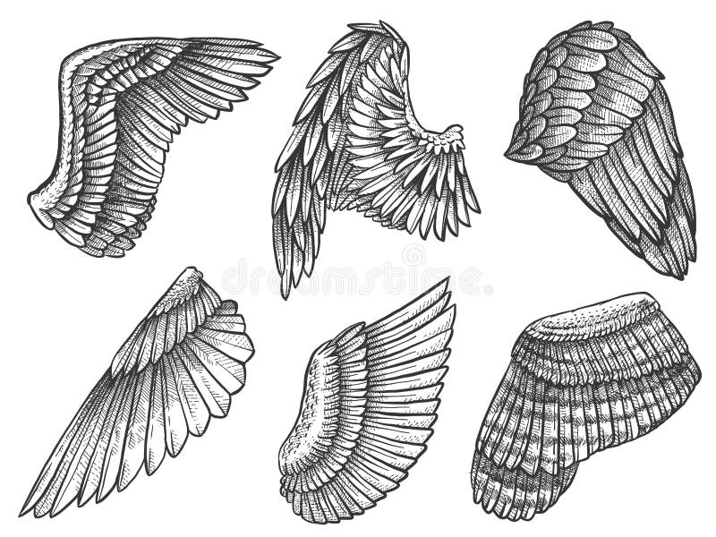 Fallen Angel Wings Custom Tattoo  Fallen Angel Wings Tattoo Designs  Transparent PNG  400x400  Free Download on NicePNG