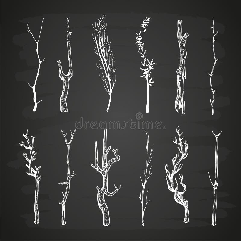 Sketch wood branches set on blackboard