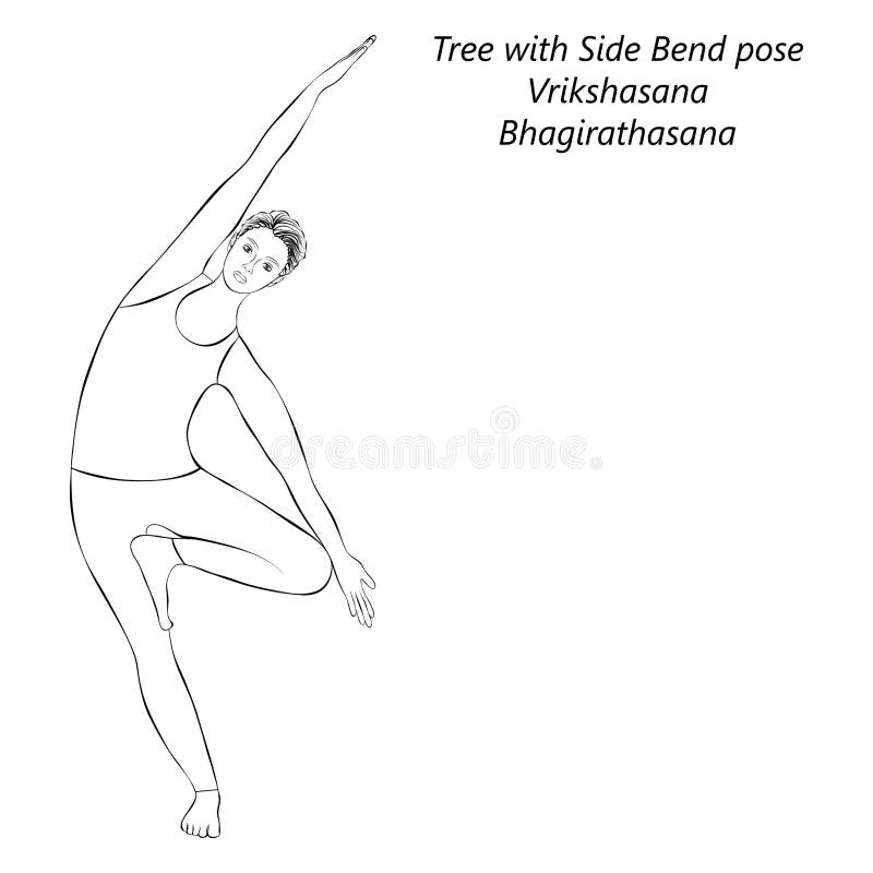 sketch yoga pose vrikshasana sketch young woman doing yoga vrikshasana bhagirathasana tree side bend bending tree 296370219