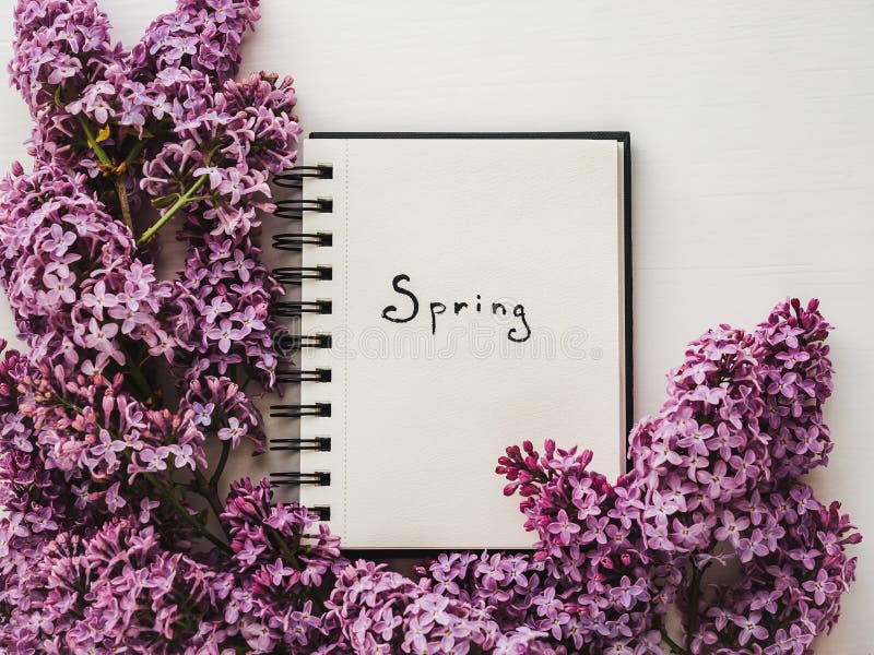 Sketchbook, blanco pagina en heldere lilac bloemen royalty-vrije stock afbeeldingen Sketchbook, blanco pagina en heldere lilac bloemen royalty-vrije stock afbeeldingen