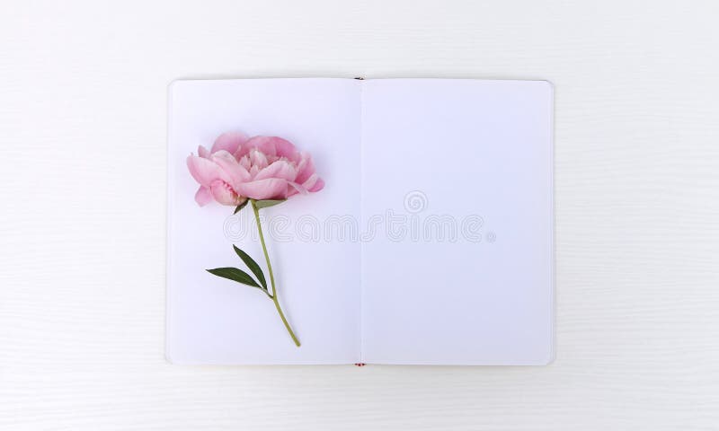 Desk Mockup Sketchbook Markers Stock Photo 693828412