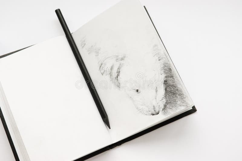 Sketchbook and a pencil stock photo. Image of sketching 21957524