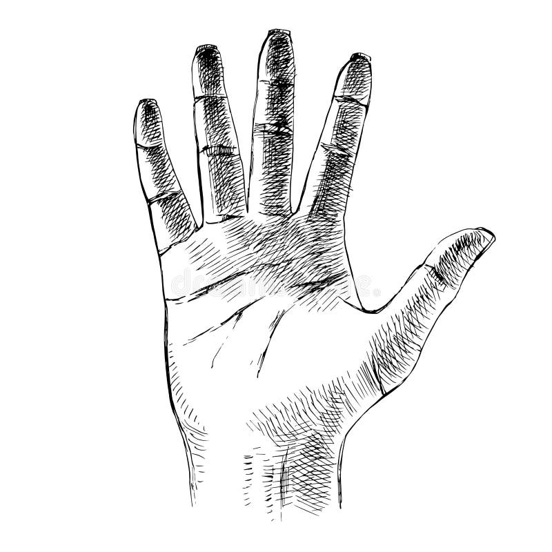 Palm Hand Coloring Pages