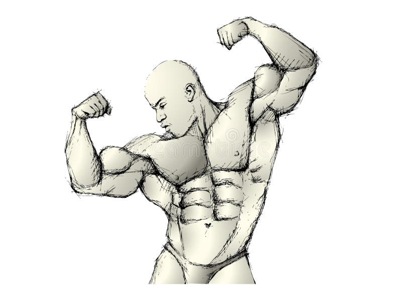 Pencil Sketching of Bodybuilding Stock Vector Illustration of