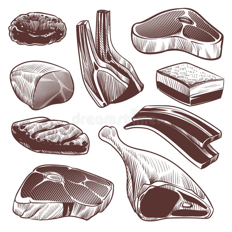 Skettelfleisch Einsammlung von frischen Rohfleischprodukten, Rindfleisch-Steak und Schinken, Schweinefeld und Lammkohl-Menü Retro lizenzfreie abbildung
