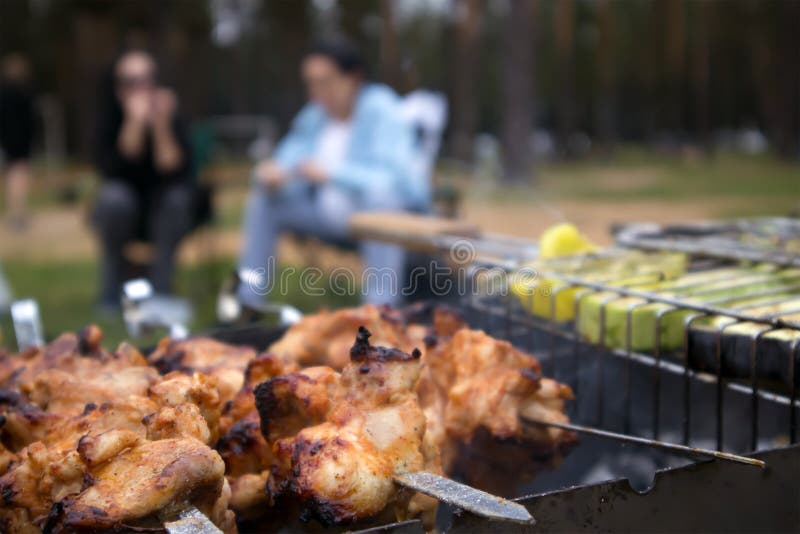 Skewers with roasted chiken meat on the hot grill closeup