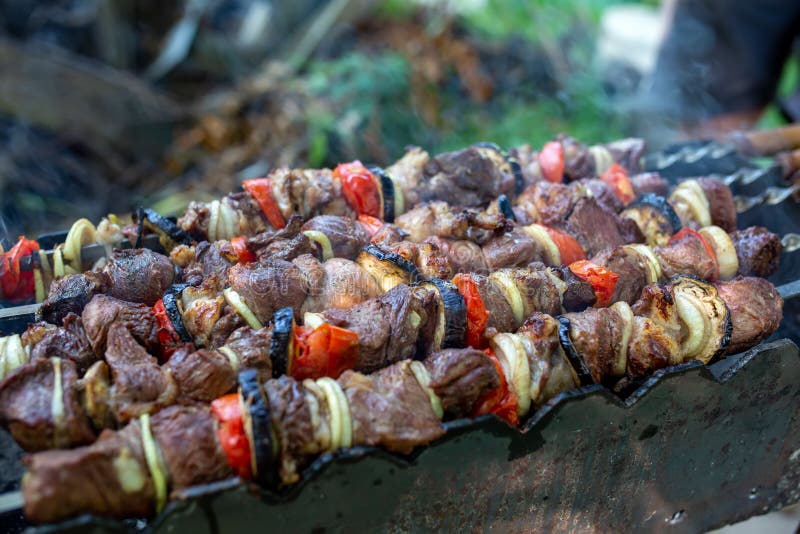 Shashlik or Shashlyk Meaning Skewered Meat Was Originally Made Stock Image  - Image of recipe, grilled: 104226073