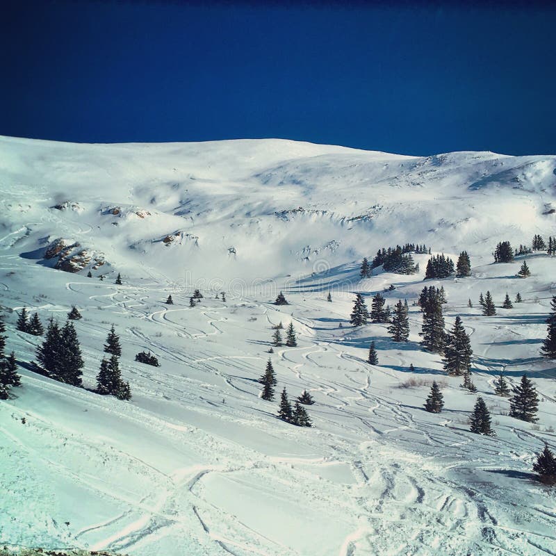 Ski hill stock image. Image of tracks, blue, snow, tree 254275811