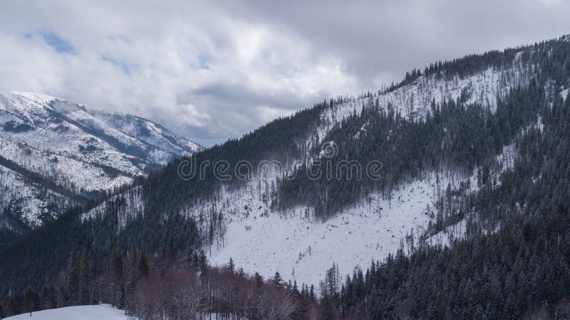 Ski resort Jasna Slovakia mountain aerial drone top view