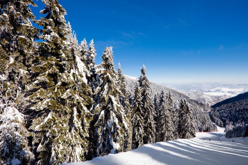 Ski slope stock image. Image of cover, park, mountain - 13111755