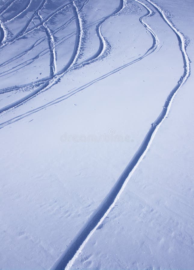 Ski traces on snow