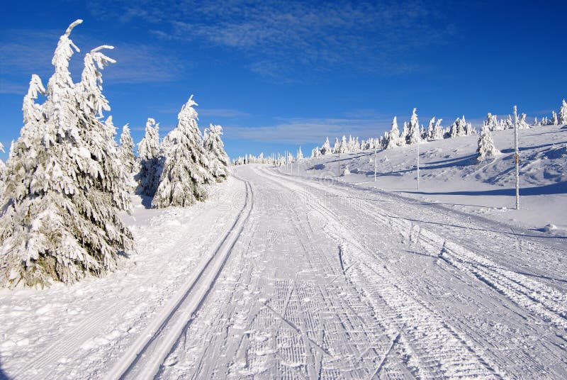 Ski trail