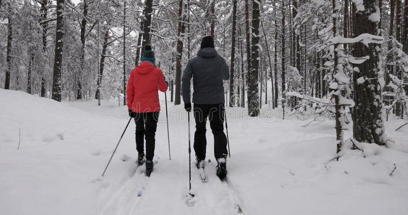 Ski voyageant dans le jeune ski de couples de neige fraîche dans la forêt profonde neigeuse d'hiver banque de vidéos