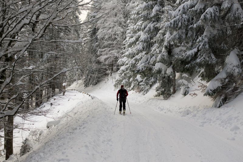 Skialpining muž v lese pokrytý snehom počas zimy. Slovensko