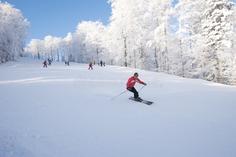 skida lutningen royaltyfri fotografi skida lutningen royaltyfri fotografi