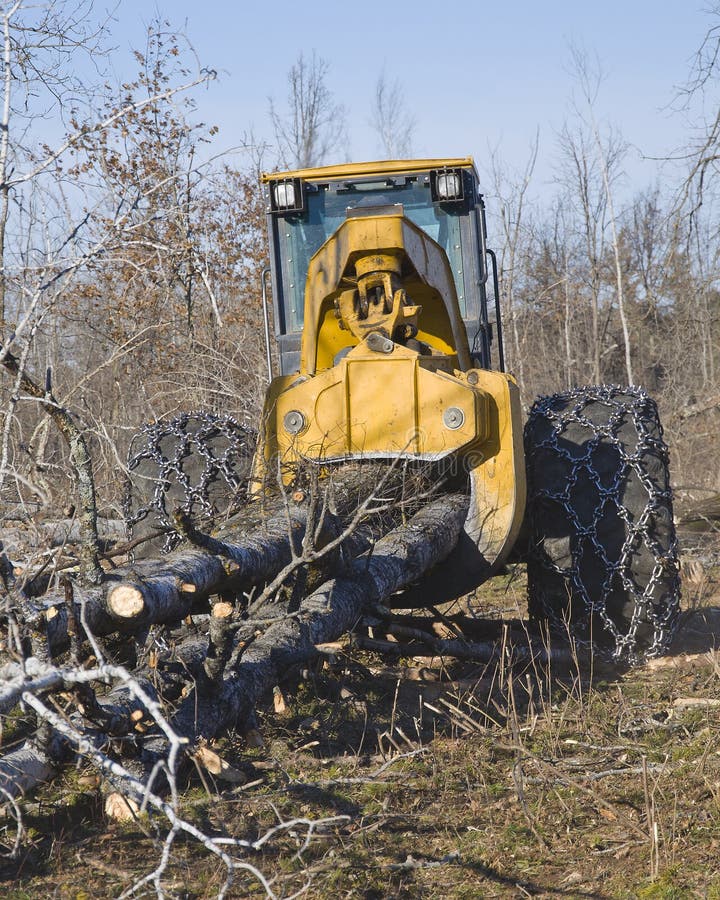 Skidding fresh cut trees stock image. Image of renewable 29038693