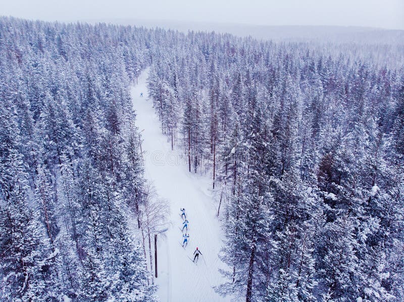 Skier cross-country skiing in snow forest. Winter competition concept. Aerial top view