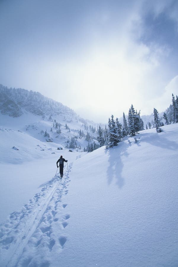 Woman hiking in deep snow stock photo. Image of beauty 8982958