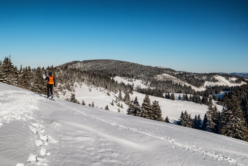 Lyžiar chôdza v zasneženej zimnej krajine. Skialpinizmus vo Veľkej Fatre na Slovensku