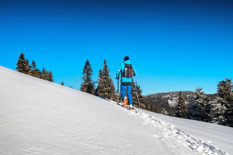 Lyžiar chôdza v zasneženej zimnej krajine. Skialpinizmus vo Veľkej Fatre na Slovensku