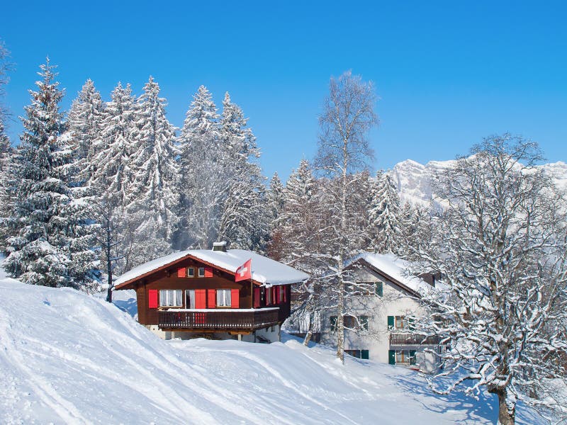 Skifahrensteigung lizenzfreie stockfotos Skifahrensteigung lizenzfreie stockfotos