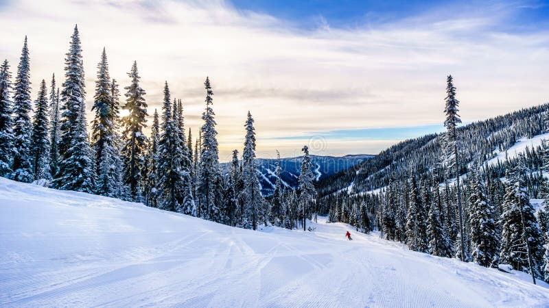 Skiing down the ski runs surrounded by snow covered trees in the winter landscape of the high alpine at the ski resort of Sun Peaks in the Shuswap Highlands of central British Columbia, Canada