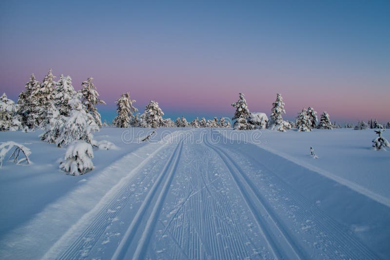 Skiing tracks in norway europe