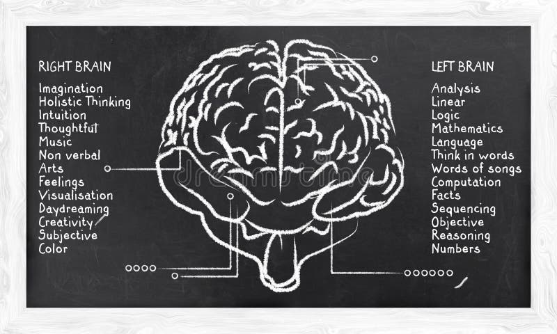 Skills for Right and Left Hemisphere stock illustration