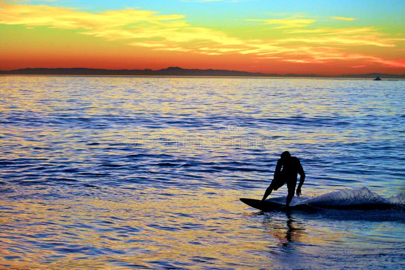 dicks skim board dicks skim board