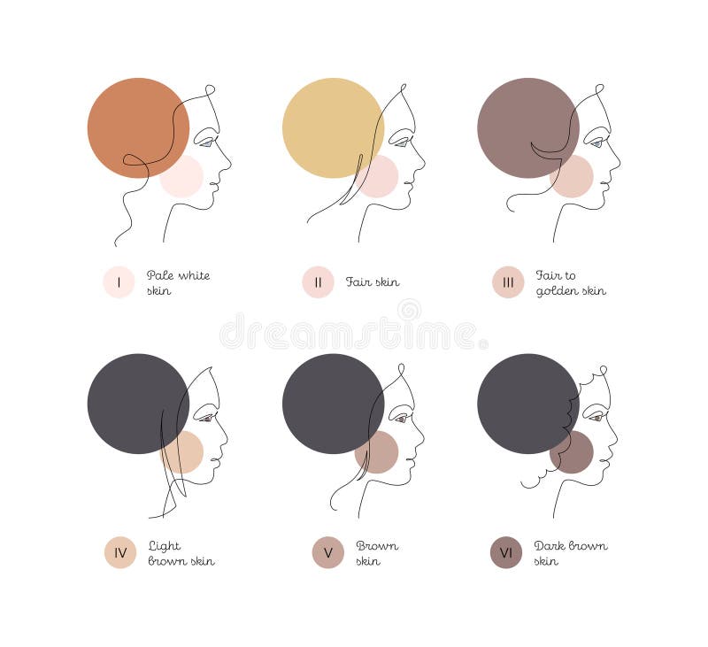 Skin Color and Ethnic Type Infographic. Vector One Line Modern ...