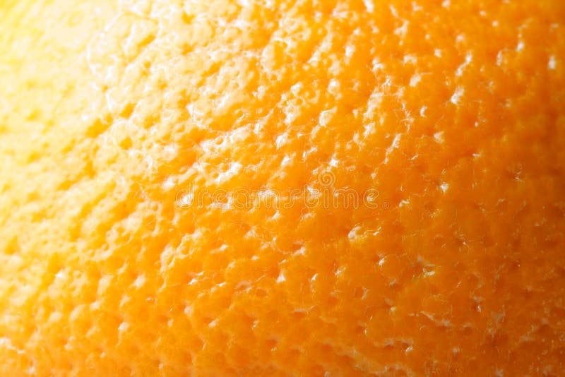 Skin of orange stock photo. Image of fruit, juicy, ripe 5105450