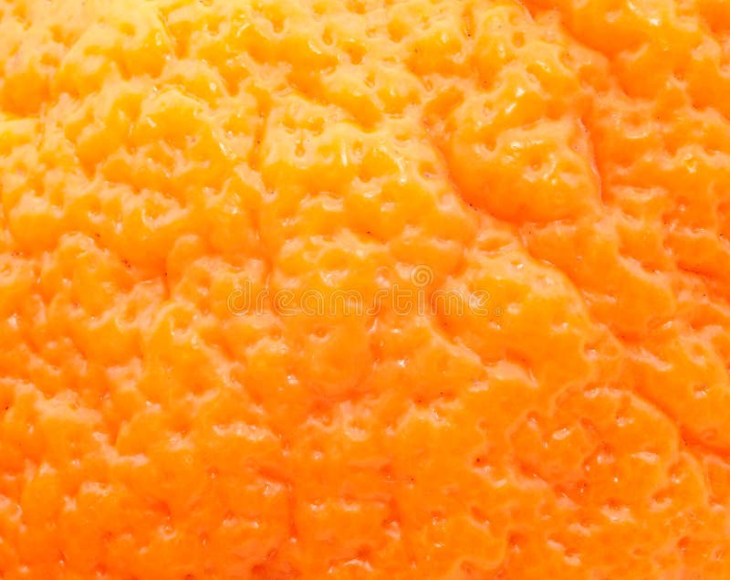 Orange pulp stock photo. Image of citrus, pulp, yellow 15999632