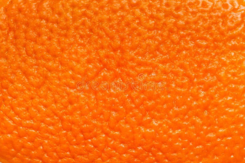 Da cam: Với hình ảnh độc đáo về da cam, bạn sẽ được chiêm ngưỡng vẻ đẹp tự nhiên và tươi mới của loài trái cây nổi tiếng này. Những đường nét sẽ khiến bạn thích thú và muốn tìm hiểu thêm.