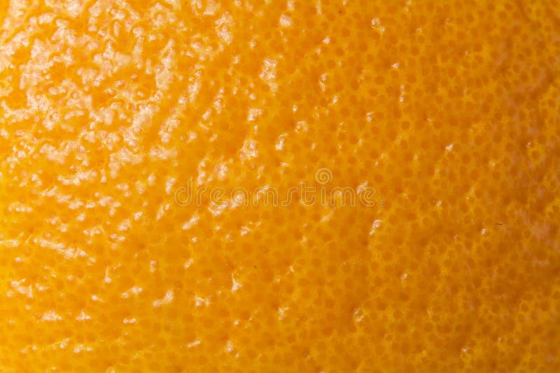 Skin Of Orange Stock Image Image Of Orange Macro Dieting 62692605