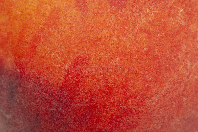 The Skin of the Peach As a Background Stock Image Image of freshness, nutritious 126455227