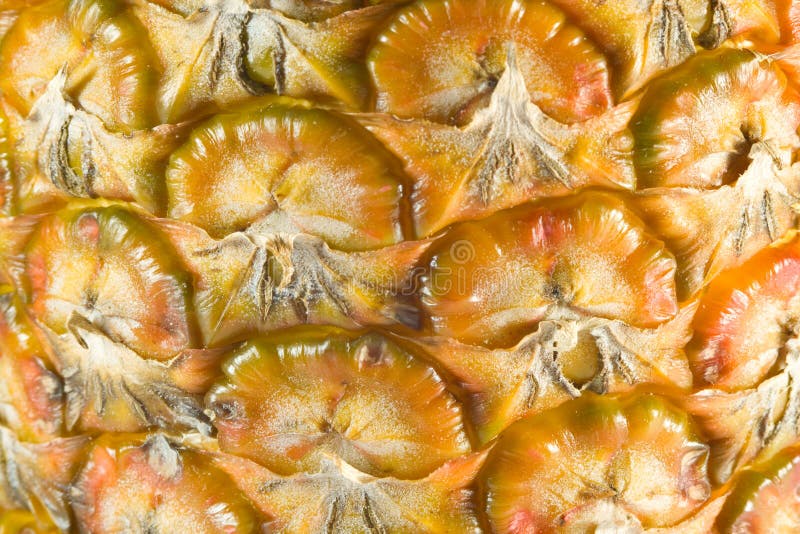 Skin Of Pineapple Picture. Image 3131336