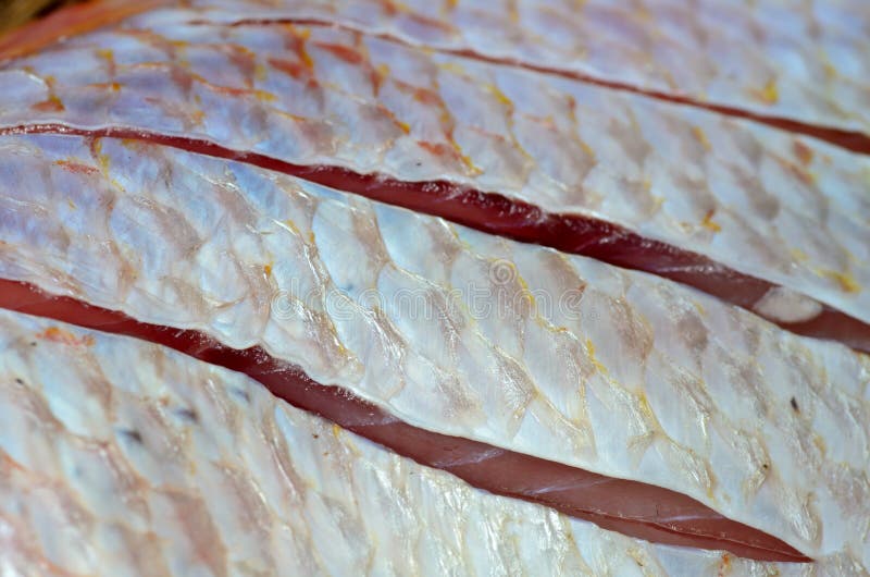 Skin of Tilapia Fish after the Scales Removed. Stock Image Image of