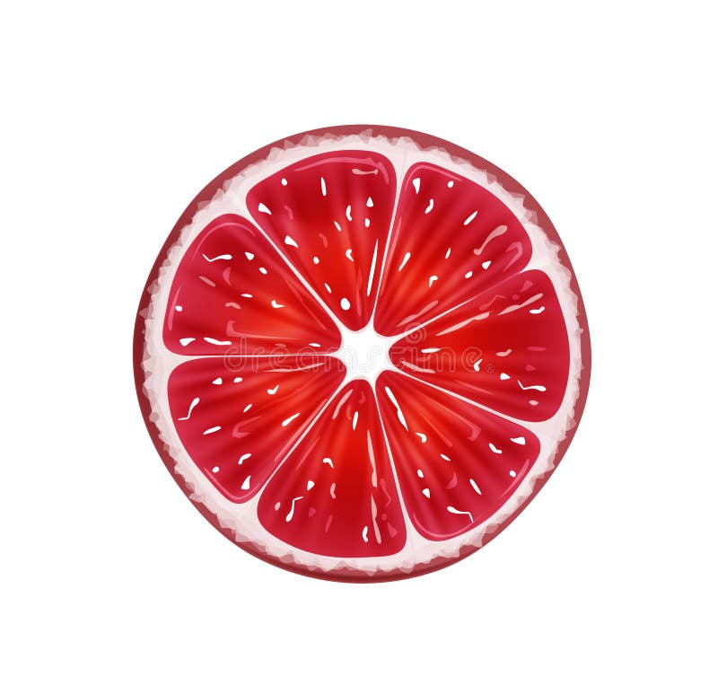 Skiva av den nya citrusa grapefrukten som isoleras på vit bakgrund också vektor för coreldrawillustration stock illustrationer