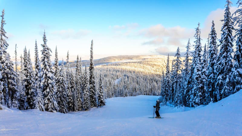 Skiër die van de Zonsondergang over het Shuswap-Hoogland genieten royalty-vrije stock fotografie Skiër die van de Zonsondergang over het Shuswap-Hoogland genieten royalty-vrije stock fotografie