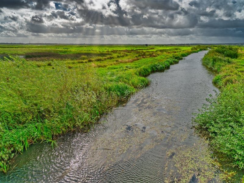 Skjern Enge Meadows Flood Delta in Denmark Stock Image - Image of ...