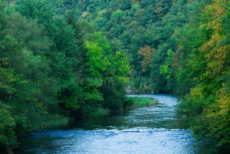 Skog Green River