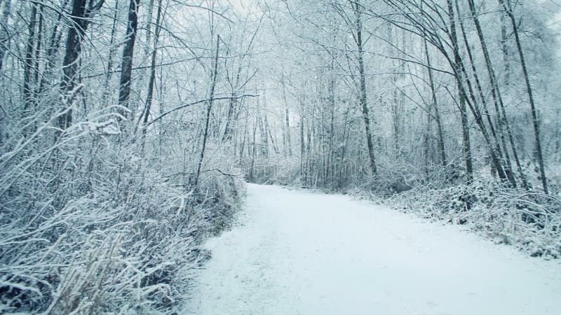 Skogsmarkbana i snöfall