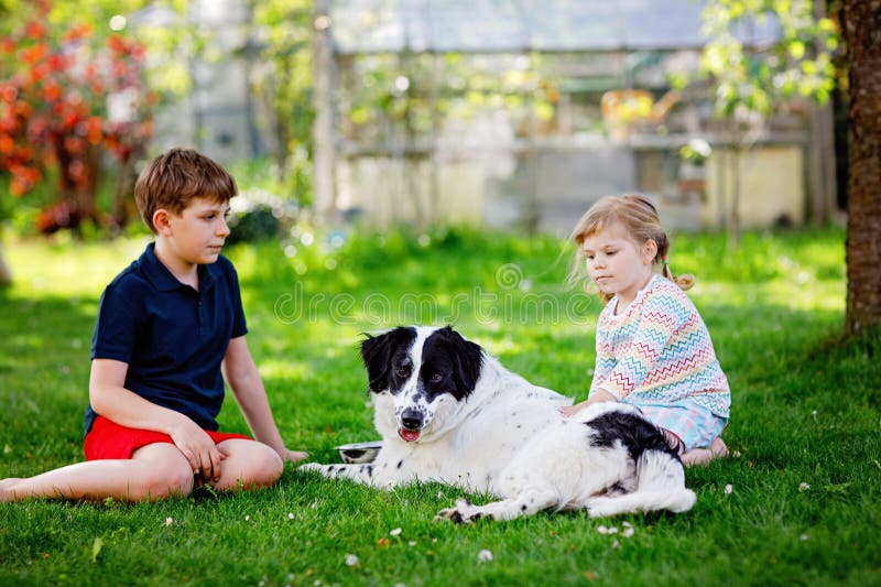 Skolpojke och liten barnflicka som leker med familjehund i trädgården. Två barn som gillar syskon och som har kul royaltyfri fotografi