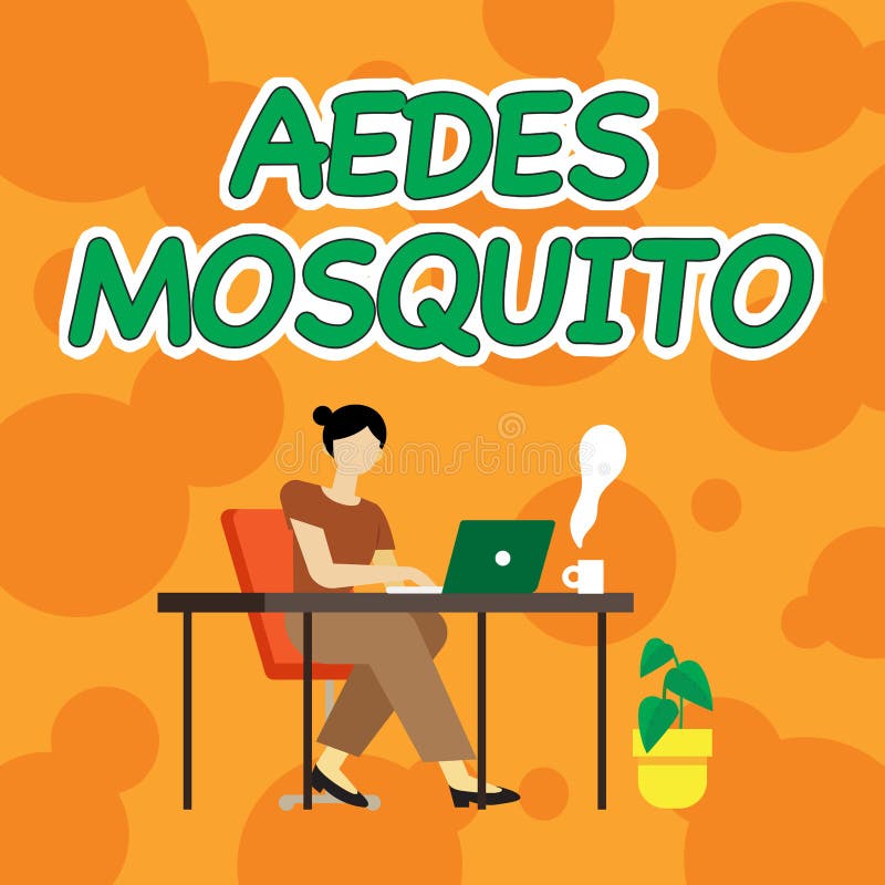 Skriva visa text aedes mosquito. affärsidé om gula febermyggan som kan sprida denguefeber royaltyfri illustrationer