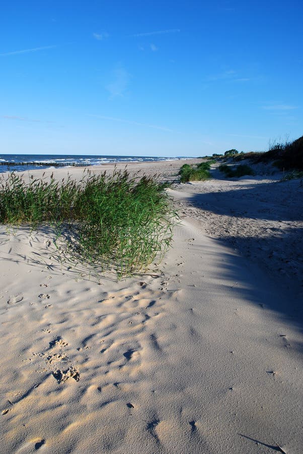 Dyk, sand, gräs och skuggor arkivfoto