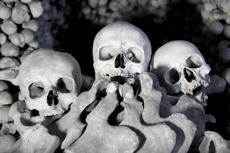 Skull and bones