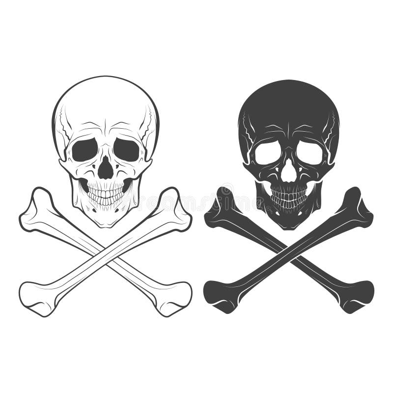 skull bones hand drawn vector illustration monochrome isolated white 50695349