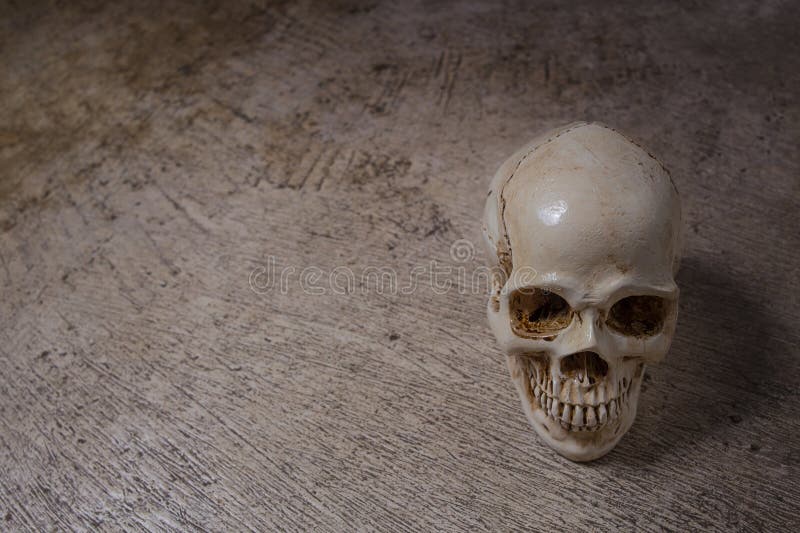 Skull On Dirty Floor Image Stock Image Image Of Scary 92590933