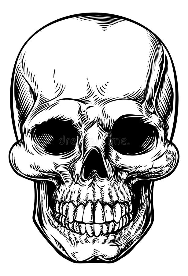 Skull Drawing vector illustration Skull Drawing vector illustration