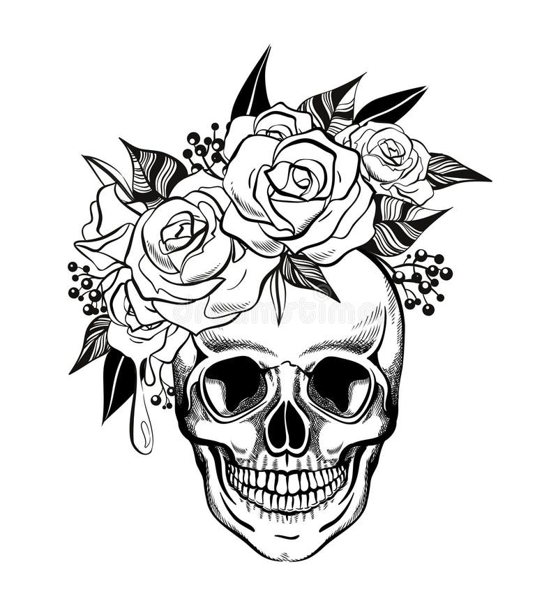 Skull and Flowers, Coloring Page, Vector Illustration Stock Vector ...
